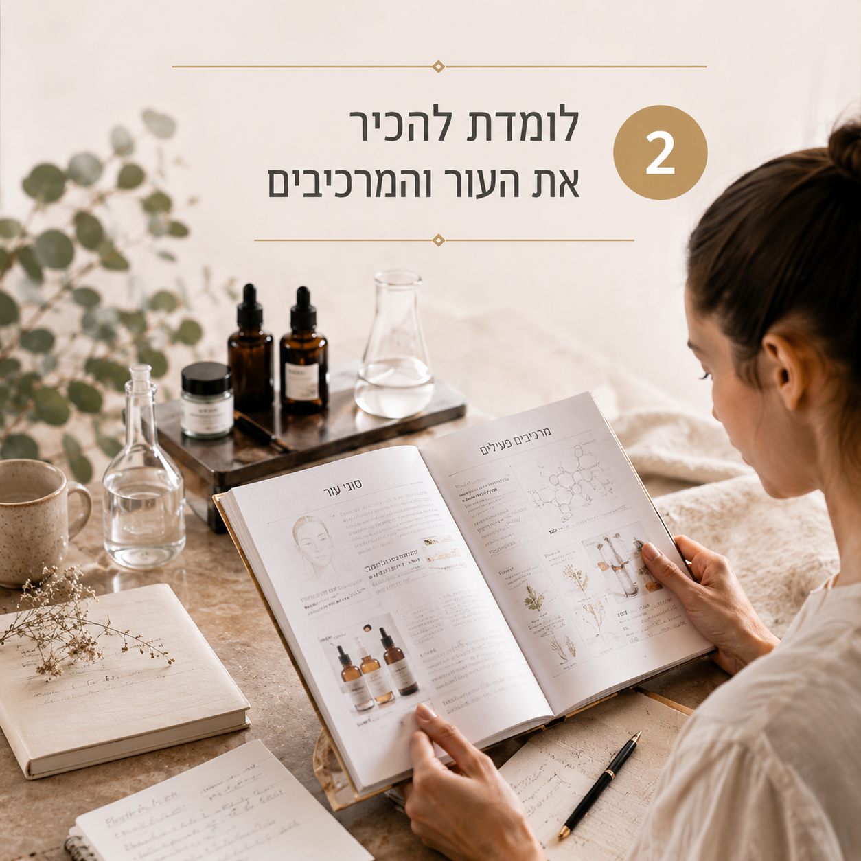 שלב 2